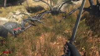 Скриншот 1 к игре Forest spiders