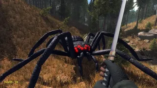 Скриншот 2 к игре Forest spiders