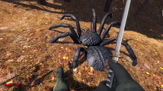 Скриншот 4 к игре Forest spiders