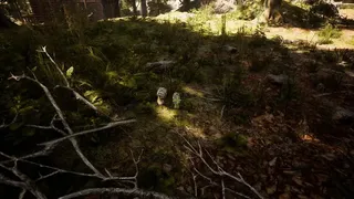 Скриншот 7 к игре Morels: The Hunt