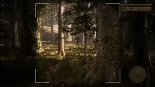 Скриншот 8 к игре Morels: The Hunt