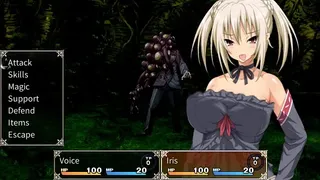Скриншот 4 к игре Holy Knight Luviria