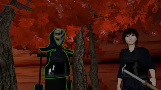 Скриншот 2 к игре KENDO