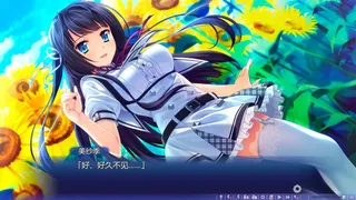 Скриншот 3 к игре 追忆夏色年华
