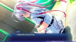 Скриншот 5 к игре 追忆夏色年华