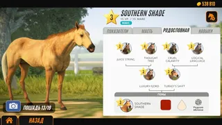 Скриншот 6 к игре Rival Stars Horse Racing: Desktop Edition