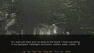 Скриншот 6 к игре Adventure or Normality?