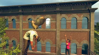 Скриншот 2 к игре Bird Simulator
