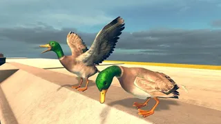 Скриншот 6 к игре Bird Simulator
