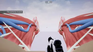 Скриншот 5 к игре Shot the Body