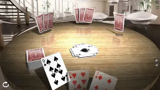 Скриншот 4 к игре Crazy Eights 3D Premium
