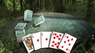 Скриншот 6 к игре Crazy Eights 3D Premium