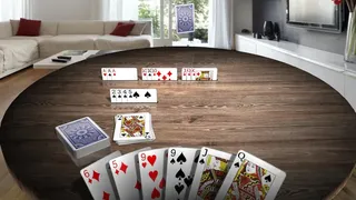 Скриншот 1 к игре Gin Rummy 3D Premium