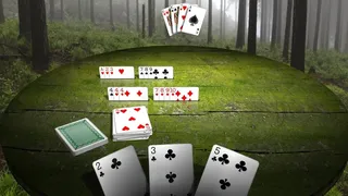 Скриншот 4 к игре Gin Rummy 3D Premium