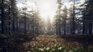 Скриншот 4 к игре PROJECT D : Human Risen