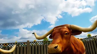 Скриншот 3 к игре Country Road VR