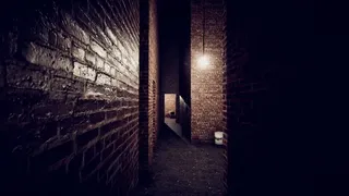 Скриншот 1 к игре Trapped