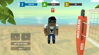 Скриншот 4 к игре Volleyball Fever Flat
