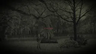 Скриншот 6 к игре The Land of Crows