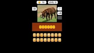Скриншот 7 к игре Photo Quiz - Animals
