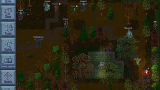 Скриншот 2 к игре Mirage Online Classic