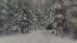 Скриншот 1 к игре New Year's Eve: 2020