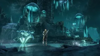 Скриншот 3 к игре The Elder Scrolls Online - Greymoor