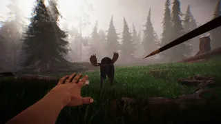 Скриншот 2 к игре Primitive Hunter