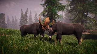 Скриншот 5 к игре Primitive Hunter