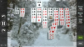Скриншот 3 к игре Solitaire Forever II