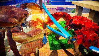 Скриншот 6 к игре Fight Crab