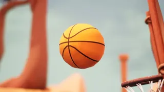 Скриншот 8 к игре Basketball Madness