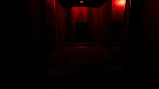 Скриншот 1 к игре Schizophrenia