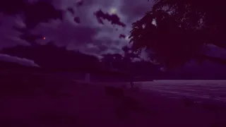 Скриншот 2 к игре Sea of Leaves