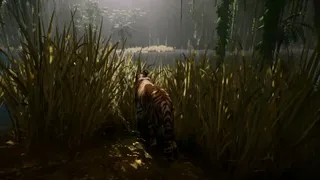 Скриншот 5 к игре The Savana
