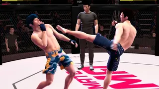 Скриншот 1 к игре Ultimate MMA