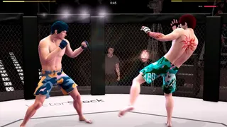 Скриншот 2 к игре Ultimate MMA
