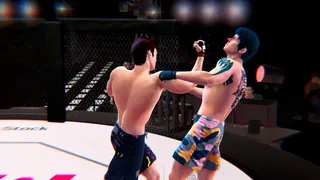 Скриншот 4 к игре Ultimate MMA