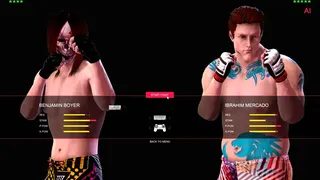 Скриншот 5 к игре Ultimate MMA