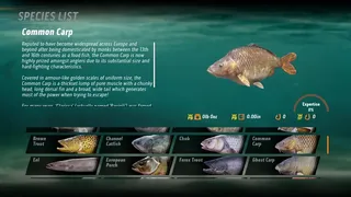 Скриншот 3 к игре The Catch: Carp & Coarse Fishing