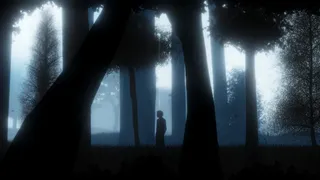 Скриншот 7 к игре Into A Dream