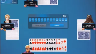 Скриншот 1 к игре Encore Classic Card Games
