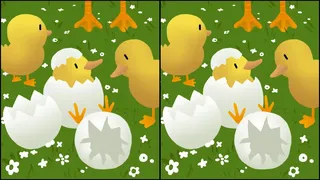 Скриншот 8 к игре Chickduck &amp; Catduck