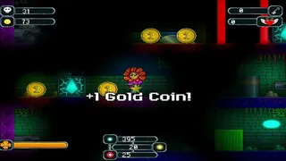 Скриншот 3 к игре The Valley of Super Flowers