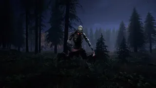 Скриншот 2 к игре Nightwalker
