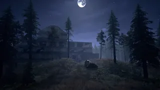 Скриншот 5 к игре Nightwalker