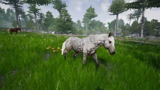 Скриншот 3 к игре Horse Riding Deluxe 2