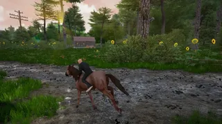 Скриншот 8 к игре Horse Riding Deluxe 2