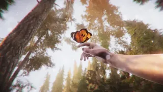 Скриншот 5 к игре The Forest Cathedral
