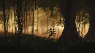 Скриншот 4 к игре The Jungle